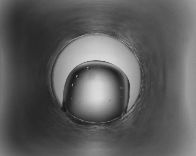 X0000089350099200707131538