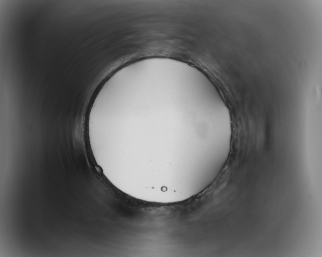 X0000089350100200707131538
