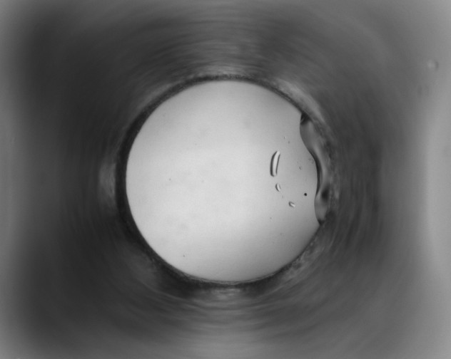 X0000089350108200707131538