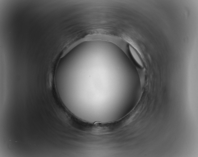 X0000089350109200707131538