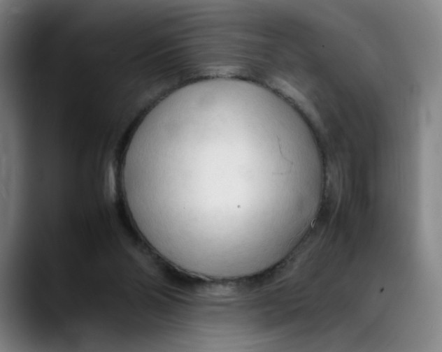 X0000089350110200707131538