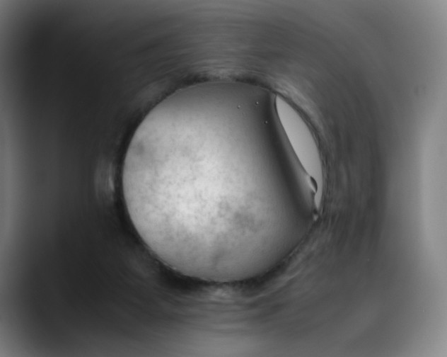 X0000089350115200707131538