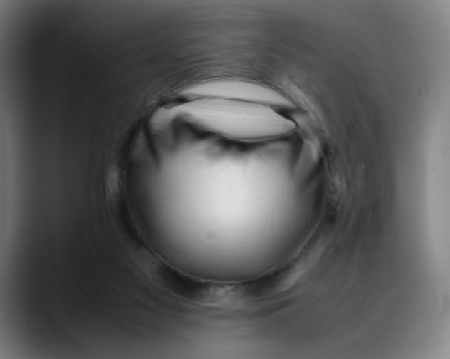 X0000089350117200707131538