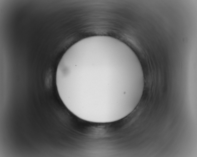 X0000089350120200707131538