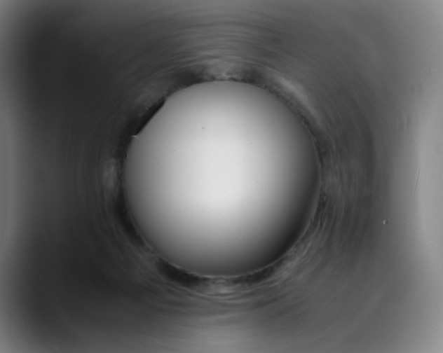 X0000089350121200707131538