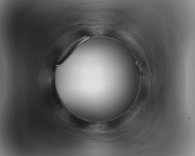 X0000089350125200707131538