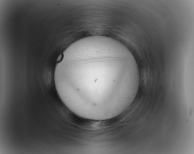 X0000089350130200707131538