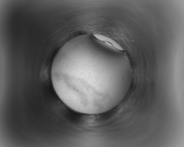 X0000089350131200707131538
