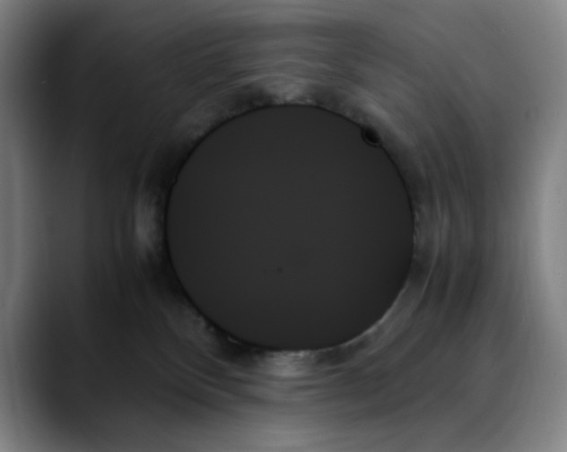 X0000089350136200707131538