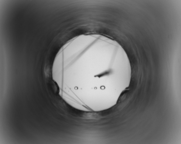 X0000089350137200707131538