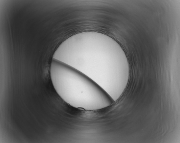 X0000089350141200707131538