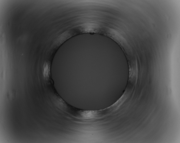 X0000089350142200707131538
