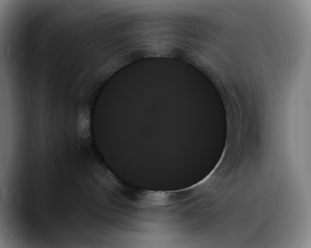 X0000089350144200707131538