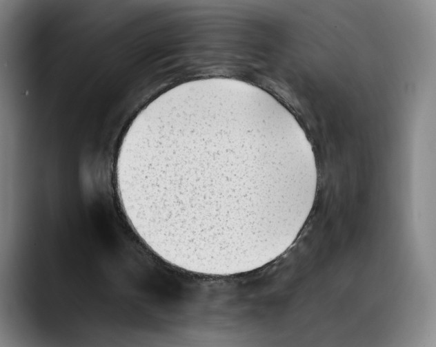 X0000089350146200707131537
