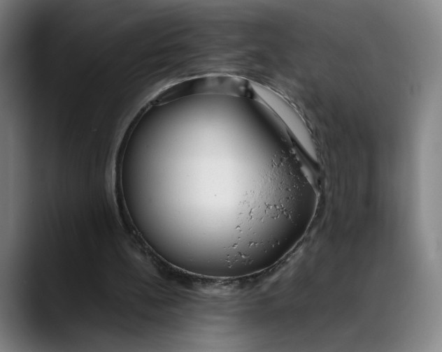 X0000089350148200707131537