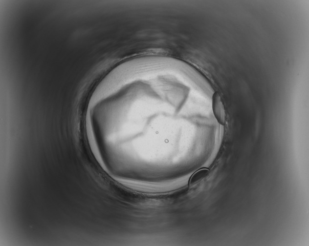 X0000089350149200707131537