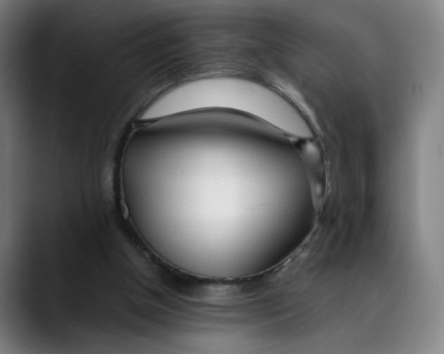 X0000089350154200707131537