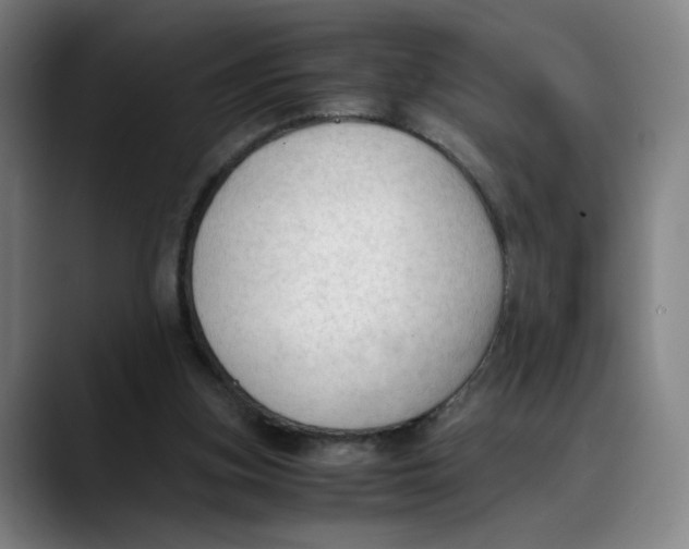 X0000089350155200707131537