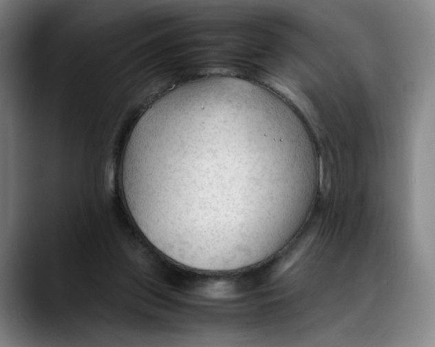 X0000089350157200707131537
