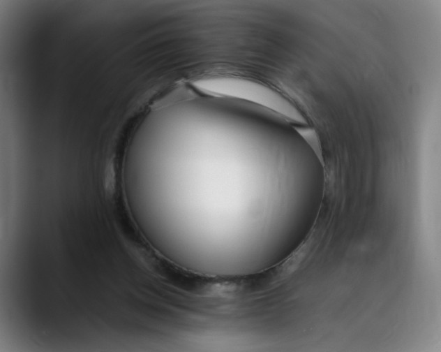 X0000089350158200707131537