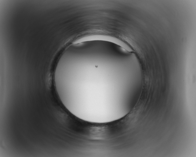 X0000089350160200707131537