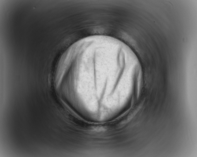 X0000089350161200707131537