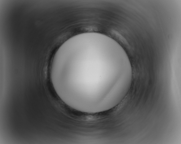 X0000089350163200707131537