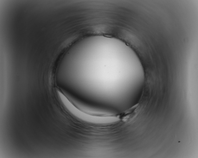 X0000089350164200707131537