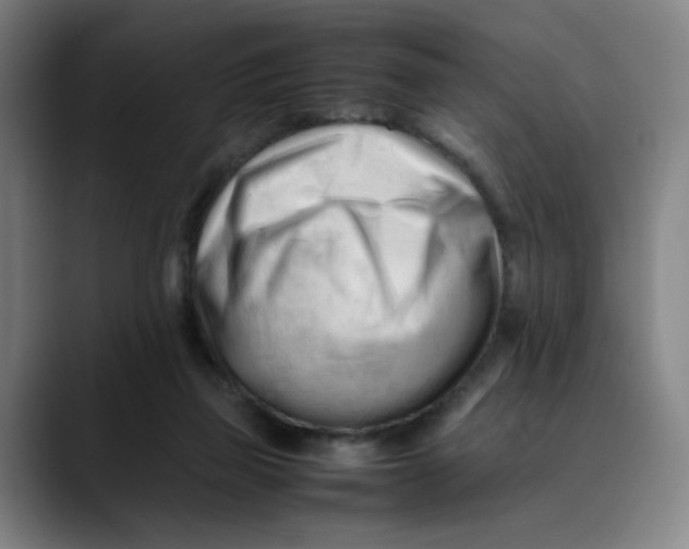 X0000089350165200707131537