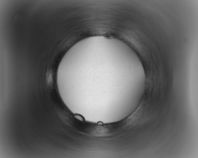 X0000089350166200707131537