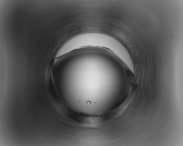 X0000089350168200707131537