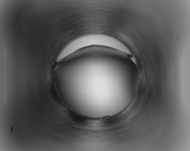 X0000089350170200707131537