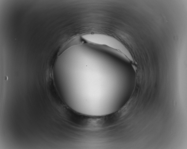 X0000089350172200707131537