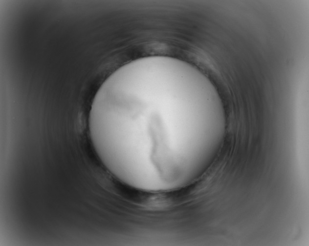 X0000089350173200707131537