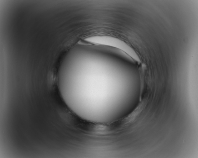 X0000089350176200707131537