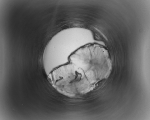 X0000089350177200707131537