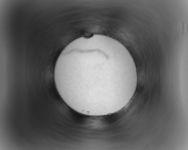 X0000089350179200707131537