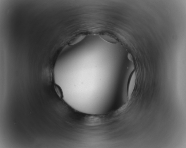 X0000089350180200707131537