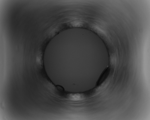 X0000089350181200707131537
