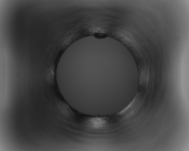 X0000089350183200707131537