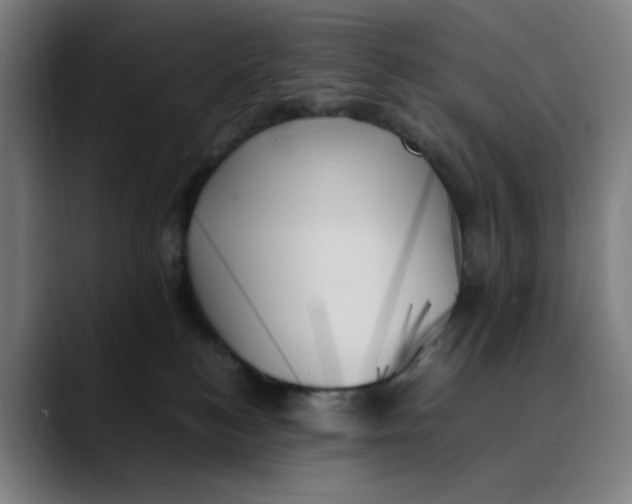 X0000089350184200707131537