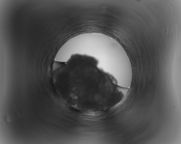 X0000089350187200707131537