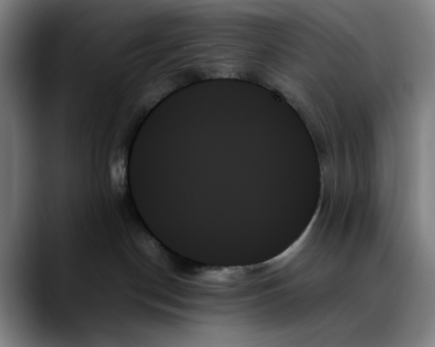 X0000089350190200707131538