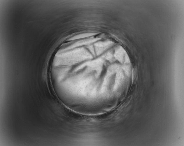 X0000089350195200707131537