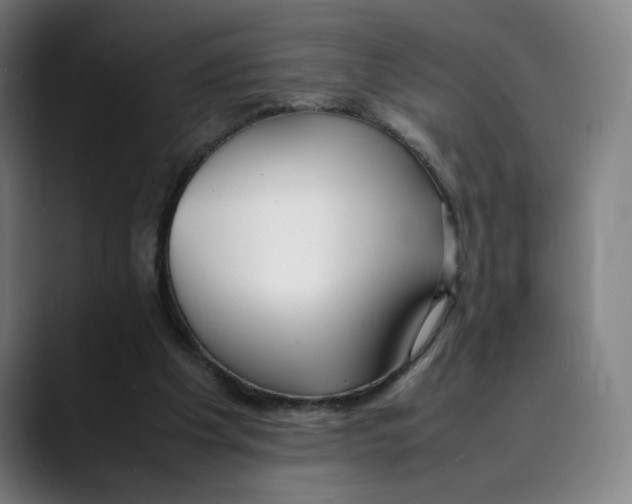 X0000089350201200707131537