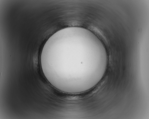 X0000089350202200707131537
