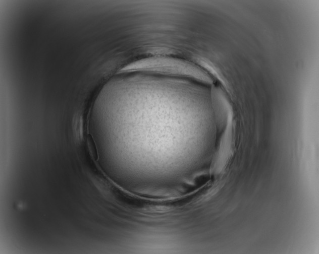 X0000089350205200707131537