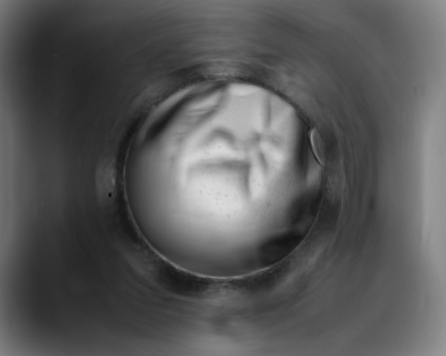 X0000089350207200707131537
