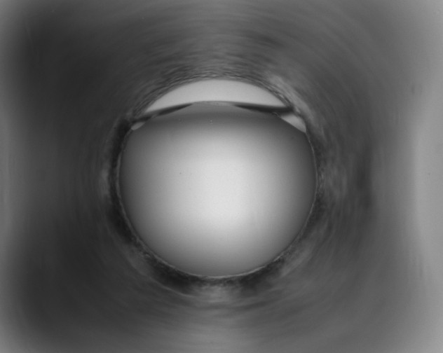 X0000089350209200707131537