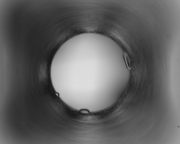 X0000089350212200707131537